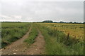Farm track near Bishop Norton in Waddingham and Spital Ward