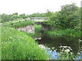 Bridge over the Monkland Canal in ML6 9RE