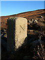 Boundary stone on Swallow Side in NE65 7QA