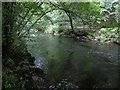 The river Teign flowing in its gorge below Langland Wood in EX6 6QE
