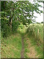 Path from Hall Wood to Hall Road in SK9 3ND