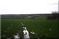Waterlogged Fields in Nevern Community