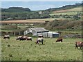 Barn and cows on Sud Moor in PO30 4EH
