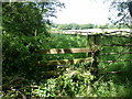 Stile on the footpath from Robins Post Lane in BN26 6RP