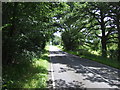 Minor road heading south east near West Beacon Farm in LE12 8TE