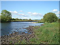 Afon Tywi / River Towy from below Cwmgwyn Farm in SA20 0DJ