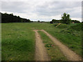 Sandy grassland in IP28 8SJ