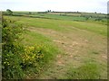 Field south of Horner Tongue in TQ9 7JW