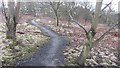 Bike track, Middle Den in Kirkcaldy