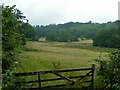 Valley west of Chase Lane in GU27 3TE