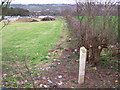 Footpath  across the cemetery in S20 8GQ