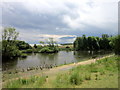 A pond on Cudworth Common in S72 7GH