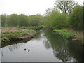 River Lee in Leagrave Marsh in LU3 2RP