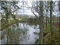 Duck pond, Pitmurchie in AB31 4JJ