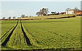 Field near Abercrombie in KY10 2RD