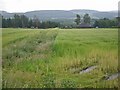 Soggy fields at the east of Drumoak in AB31 5EH