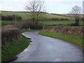 The lane near Monkton Up Wimborne in BH21 5NW