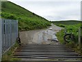 Cattle grid onto Gelligaer Common in Bedlinog Community