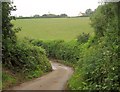 Lane to Lowerdale Turn in TQ7 4DP