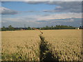 Footpath to Cross Street, Sturton le Steeple in Sturton le Steeple