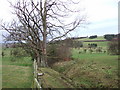 Field boundary and watercourse at Summerville in NE65 7NE