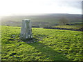 Kilmond Scar trig in DL12 9SP