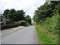 Minor road near Wellbank in DD5 3PN