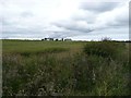 Arable land near Guyzance Lee in NE65 9AU