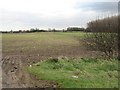 Farmland Near Laceby in DN37 7AS