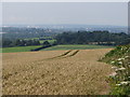 Fields near Pen-y-lan in NP10 8RU