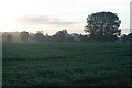 Farmland in Early Morning Mist in NR19 2NY
