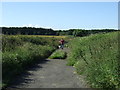 Lane heading south from East Choppington (footpath) in NE62 5YZ