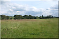Sparkford: field above the river Cam in BA22 7JF