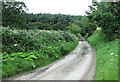 Rural lane past Pearman's Hill in CO9 2QW