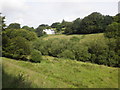 Barle Valley, to the west of Simonsbath in TA24 7SN