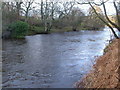 River Coquet at Slidden Braes in NE65 8JE