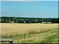 View north-west from Goat Hall Lane in Goat Hall Ward