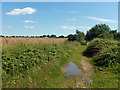 Track towards Crondon Park in CM4 9DP