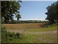 Field in Whitelake valley in BA4 4BY
