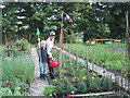 Allotments in Wootton by Woodstock in OX20 1EZ