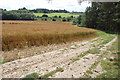 Crop field and Track in TN17 4JG