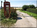 Overgrown phone box at Woodcutts in SP5 5RN
