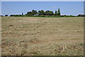 Haymaking near Ikon Trading Estate in DY10 4EU