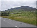 Coastal grassland southeast of Brogaig in IV51 9JS