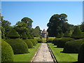 Yew topiary in the Apostle Garden at Lytes Cary Manor in BA22 8JA