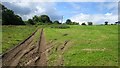 Tractor tracks, Duncrievie in PH2 9PD
