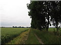 The Hereward Way near Christchurch in PE14 9PL