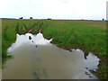 Waterlogged Field in GL54 3LA