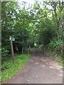 Footpath along lane to Scuttishill Farm in Dunsford