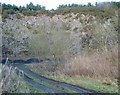Disused Quarry in KY13 0RP